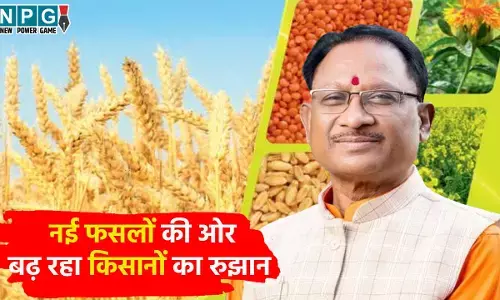 CM Vishnudeo Sai: नई फसलों की ओर बढ़ रहा किसानों का रुझान, खेती के तरीके और किसानों की सोच को बदलने का माध्यम बन रही विष्णु देव साय सरकार की योजनाएं...