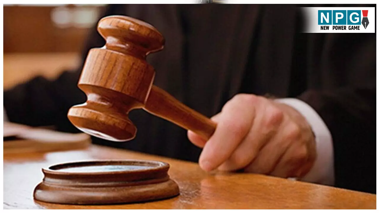 Allahabad High Court News: फर्जी सर्टिफिकेट से नौकरी करने वाले शिक्षकों की होगी जांच, दोषी मिले तो नौकरी जाएगी और रिकवरी भी होगी... Allahabad High Court News: फर्जी सर्टिफिकेट से नौकरी करने वाले शिक्षकों की होगी जांच, दोषी मिले तो नौकरी जाएगी और रिकवरी भी होगी...