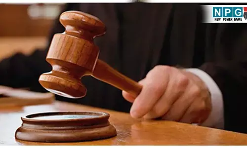 Allahabad High Court News: फर्जी सर्टिफिकेट से नौकरी करने वाले शिक्षकों की होगी जांच, दोषी मिले तो नौकरी जाएगी और रिकवरी भी होगी...