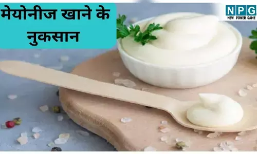 Mayonnaise Khane Ke Nuksan : बहुत ज्यादा पसंद आती है सैंडविच-बर्गर में मेयोनीज़? जान लीजिए इसके नुकसान