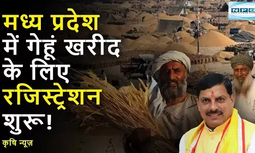 MP Gehu Kharidi  : मध्य प्रदेश में गेहूं खरीदी का रजिस्ट्रेशन आज से शुरू, यहाँ जानिए रजिस्ट्रेशन की फीस से लेकर पूरी प्रक्रिया