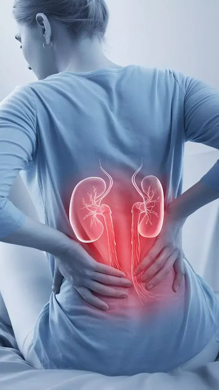 Kya Khane Se Kidney Kharab Hoti Hai: सावधान! किडनी को ख़राब और सड़ाने लगते हैं ये फूड्स