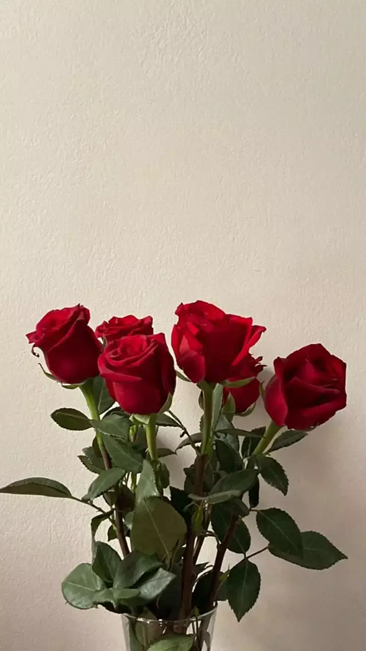 Gulab Ke Phool Ke Upay: लव लाइफ में प्यार बढ़ाने के लिए जरूर करें गुलाब के उपाय