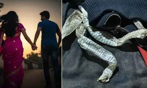 UP Crime News : नागिन का भेष लेकर भागी प्रेमी के संग, फरार होने रचा ऐसा स्वांग की इलाका रह गया सन्न