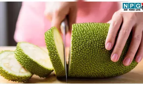 Kathal kaatne ka gharelu aasan tarika: कटहल काटने का आसान तरीका; अब काटते समय नहीं चिपकेगा दूध, अपनाएं ये घरेलू उपाय!