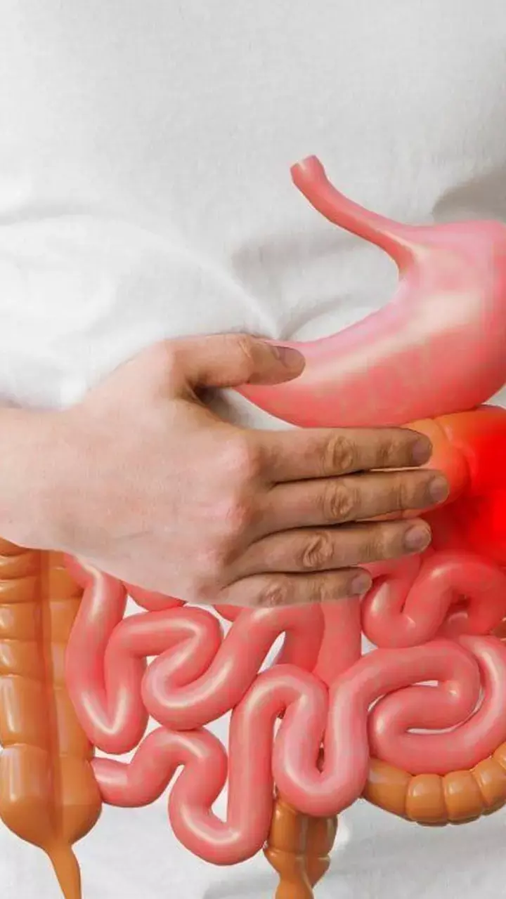 Gut Kamjor Hone Ke Lakshan: आंत कमजोर होने पर कौन से लक्षण नजर आते हैं?