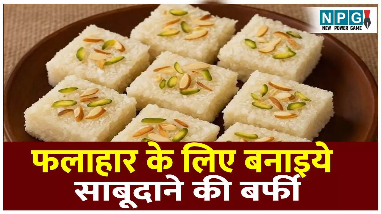 Falahari Sabudane Ki Barfi Recipe: महाशिवरात्रि पर फलाहार के लिए बनाइये साबूदाने की बर्फी, पढ़िए व्रत स्पेशल मुंह में घुल जाने वाली मिठाई की रेसिपी Falahari Sabudane Ki Barfi Recipe: महाशिवरात्रि पर फलाहार के लिए बनाइये साबूदाने की बर्फी, पढ़िए व्रत स्पेशल मुंह में घुल जाने वाली मिठाई की रेसिपी