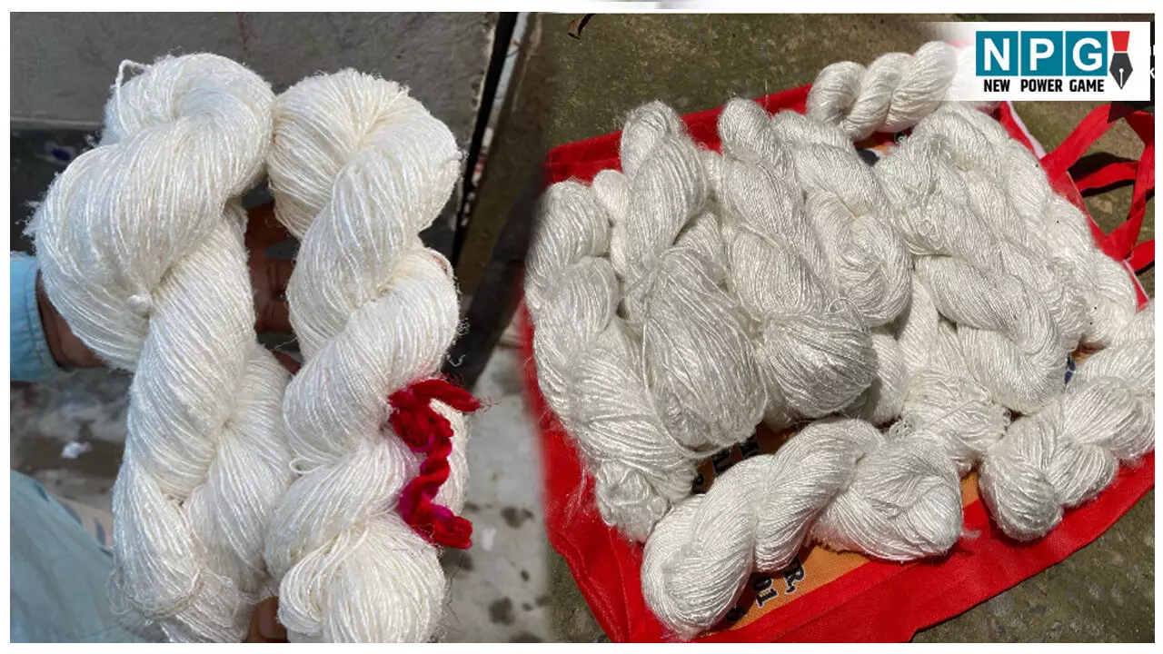 Bihar News: केले का तना बना कमाई का खजाना, रेशा और कंपोस्ट से लाखों का कारोबार, खगड़िया जिले के बंदेहरा में 50 किसानों का नवाचार Bihar News: केले का तना बना कमाई का खजाना, रेशा और कंपोस्ट से लाखों का कारोबार, खगड़िया जिले के बंदेहरा में 50 किसानों का नवाचार