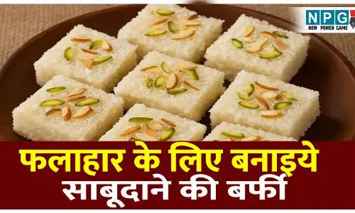 Falahari Sabudane Ki Barfi Recipe: महाशिवरात्रि पर फलाहार के लिए बनाइये साबूदाने की बर्फी, पढ़िए व्रत स्पेशल मुंह में घुल जाने वाली मिठाई की रेसिपी