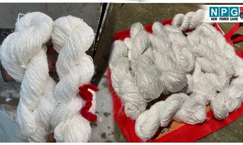 Bihar News: केले का तना बना कमाई का खजाना, रेशा और कंपोस्ट से लाखों का कारोबार, खगड़िया जिले के बंदेहरा में 50 किसानों का नवाचार