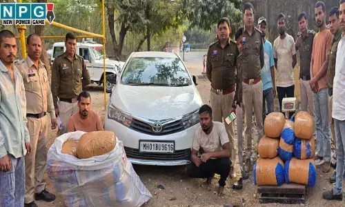 Raipur News: रायपुर में गांजा की बड़ी खेप पकड़ाई, 2 तस्कर भी गिरफ्तार, केनाल रोड के पास महाराष्ट्र की कार में रखकर बेचने के लिए ग्राहक कर रहे थे तलाश...