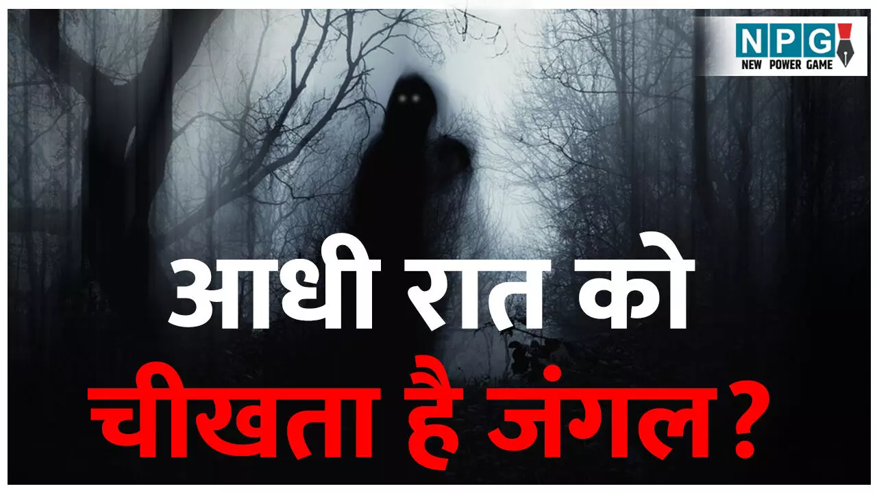 Raat mein junglon se kyon aati Hai daravani awazen: बस्तर के जंगल का रहस्य: आधी रात को क्यों चीखता है जंगल? जानिए क्या कहता है विज्ञान Raat mein junglon se kyon aati Hai daravani awazen: बस्तर के जंगल का रहस्य: आधी रात को क्यों चीखता है जंगल? जानिए क्या कहता है विज्ञान