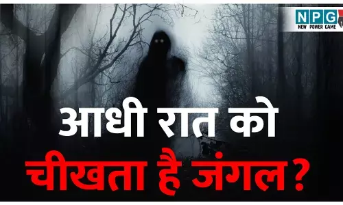 Raat mein junglon se kyon aati Hai daravani awazen: बस्तर के जंगल का रहस्य: आधी रात को क्यों चीखता है जंगल? जानिए क्या कहता है विज्ञान