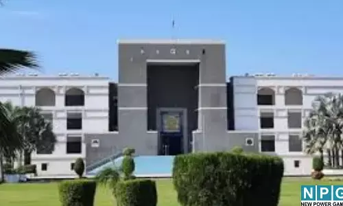 हाईकोर्ट का बड़ा फैसला : पत्नी को 1 थप्पड़ मारना क्रूरता नहीं... जानिए कोर्ट ने किन सबूतों को माना आधार.