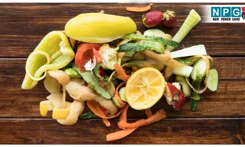 Uses Of Vegetable And Fruits Peels: फल-सब्जियों के छिलकों के ये इस्तेमाल शायद आपको न पता हों, बहुत काम आएगी जानकारी