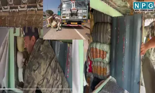 CG Kabirdham News: देखें Video: पहली बार CG में पांच करोड़ का गांजा जब्त, नागालैंड की पासिंग कंटेनर के अन्दर गुप्त चैंबर में छुपाए थे 9 क्विंटल गांजा...