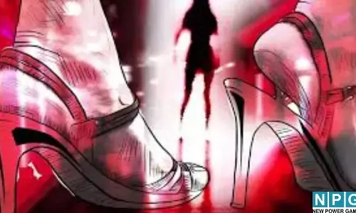 ब्यूटी पार्लर की आड़, जिस्मफरोशी का व्यापार...नशे की डोज, अश्लील वीडियो और फिर बड़े शहरों के रईसों तक हिंदू लड़कियों की सप्लाई...