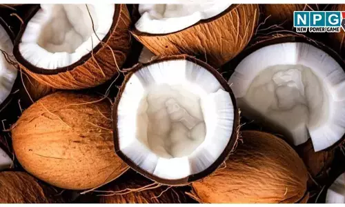 Nariyal ke chilke ke fayde: सावधान! अब से इसे फेंकने की गलती कभी न करें। नारियल की जटा से मिल सकते हैं ये चौंकाने वाले फायदे