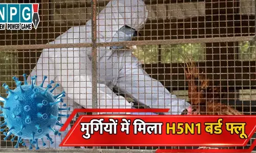 H5N1 bird flu