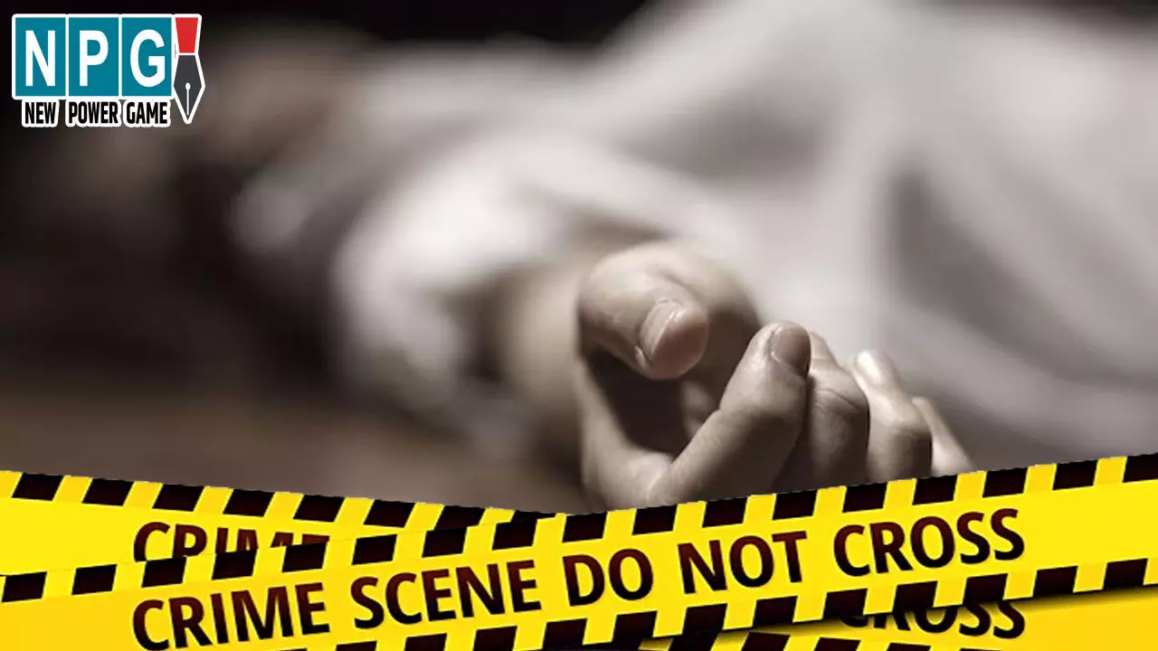 sawai madhopur news , sawai madhopur news ,