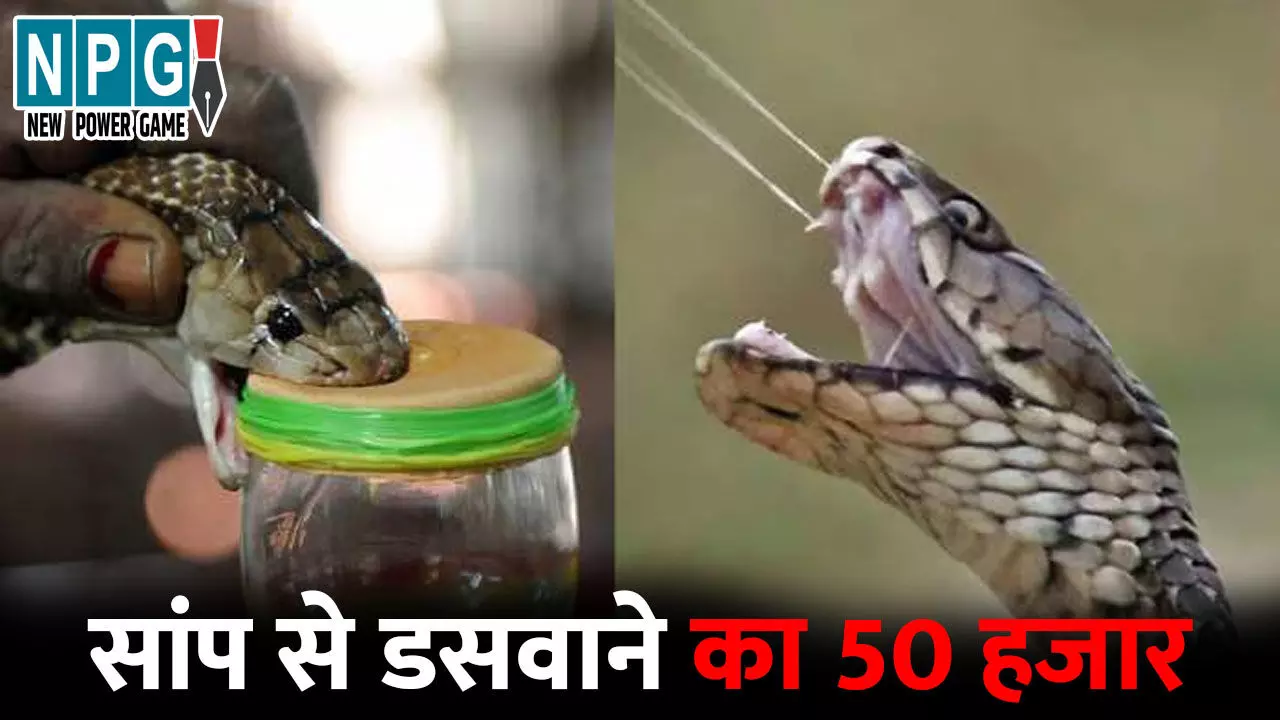 Exotic Snake Racket