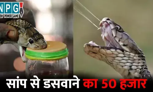 Exotic Snake Racket