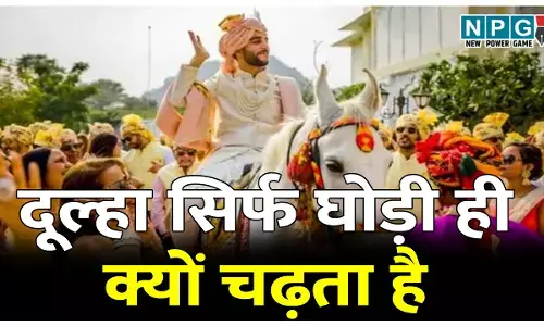 Shaadi me dulha sirf Ghodi hi kyon chadhta hai: भारतीय शादीयों में दूल्हा सिर्फ घोड़ी ही क्यों चढ़ता है अन्य जानवर क्यों नहीं? जानिए इसके पीछे का रहस्य