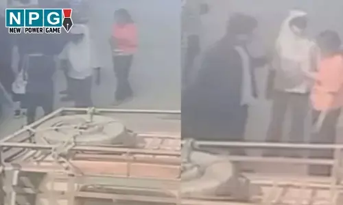 Raipur News: डॉग रेस्क्यू संस्था की आड़ में गर्भवती से मारपीट, CCTV फुटेज आया सामने, FIR दर्ज