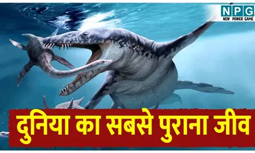 Duniya Ke 5 sabse purane jeev: करोड़ों साल पुराने 5 रहस्यमयी जीव, इनको खत्म करना है लगभग नामुमकिन! न्यूक्लियर हमले से भी बचने की है पावर