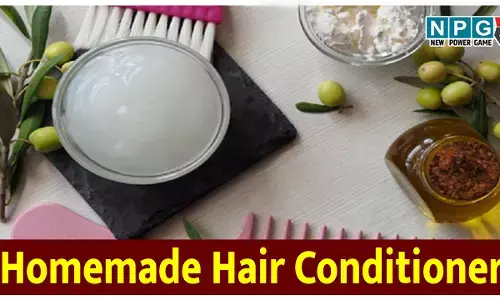 Homemade Hair Conditioner: घर में बनाइये हेयर कंडीशनर, केवल 3 इंग्रीडिएंट्स से 50 रुपये से भी कम में