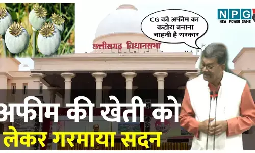 विधानसभा बजट सेशन 2026: CG में अफीम की खेती पर गरमाया सदन: गर्भगृह में पहुंचे 29 विधायक सस्पेंड, नेता प्रतिपक्ष डॉ बोले...