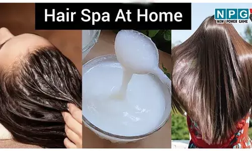 Hair Spa At Home With Curd: दही के इन हेयर मास्क से घर बैठे करें पार्लर जैसा हेयर स्पा, बाल होंगे साॅफ्ट, शाइनी और स्ट्राॅन्ग