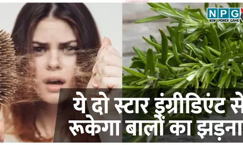 गर्मी में पसीने और इंफेक्शन से झड़ने लगे ज्यादा बाल? ये दो स्टार इंग्रीडिएंट रोकेंगे बालों का झड़ना, बढ़ाएंगे हेयर ग्रोथ