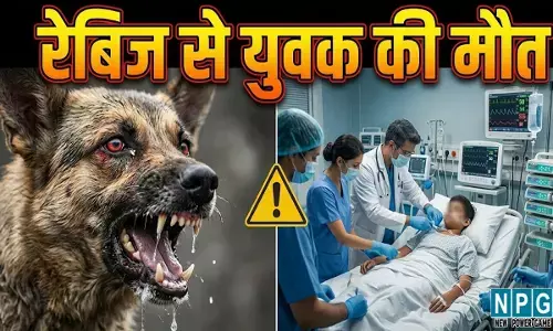 balrampur rabies