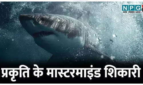 Dharti ke sabse chalak Shikari: दिमाग से खेलकर शिकार करने वाले खतरनाक जीव: मिलिए प्रकृति के मास्टरमाइंड शिकारियों से