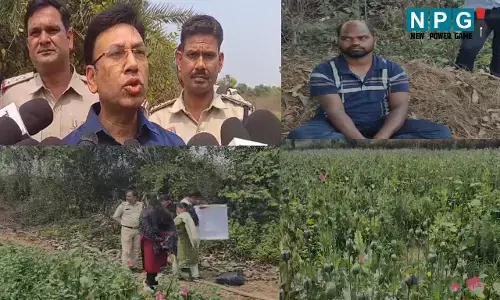 रायगढ़ में अफीम खेती इनसाइड स्टोरी: झारखंड में खेती करना सीखा, फिर रायगढ़ के ससुराल में आकर पिछले 4 माह से कर रहा था खेती, बेचने की फिराक में था, तभी SSP ने दबोचा...