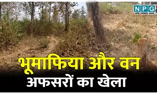 भूमाफिया और वन अफसरों का खेला, संरक्षित वन भूमि पर जारी है कब्जे का गोरखधंधा, सागौन के हरे-भरे जंगल पर बेदर्दी से चलाई कुल्हाड़ी...
