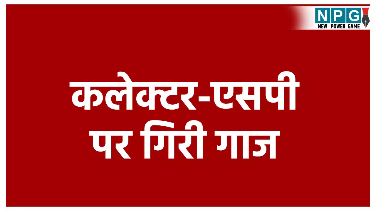 MP Collector SP Removed MP Collector SP Removed