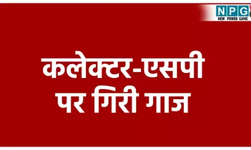 MP Collector SP Removed