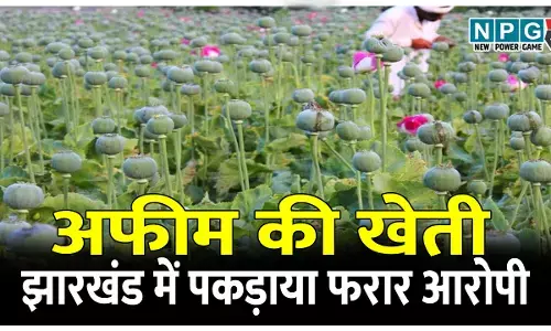 आमाघाट में अफीम की खेती: झारखंड में पकड़ाया फरार आरोपी, छत्तीसगढ़ लेकर आई रायगढ़ पुलिस, पूछताछ के बाद ज्यूडिशियल रिमांड पर भेजा जेल