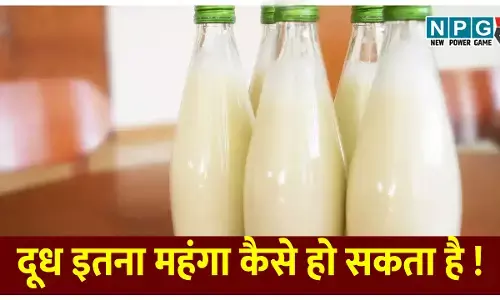 गाय-भैंस से भी ज्यादा फायदेमंद निकला गधी का दूध! जानिए क्यों ₹7000 लीटर तक बिकता है ये लिक्विड गोल्ड; क्या हैं इसके चौंकाने वाले फायदे