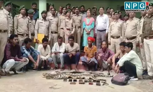 CG में बंदूक से तेंदुए का शिकार, 9 आरोपी गिरफ्तार, खाल जब्त...वन विभाग की बड़ी कार्रवाई