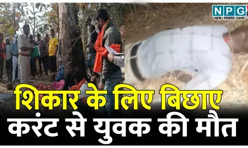 शिकार के लिए बिछाए करंट से युवक की मौत, मैनपाट के सागौन नर्सरी में लकड़ी चोरी करने घुसा था, साथी भी झुलसा