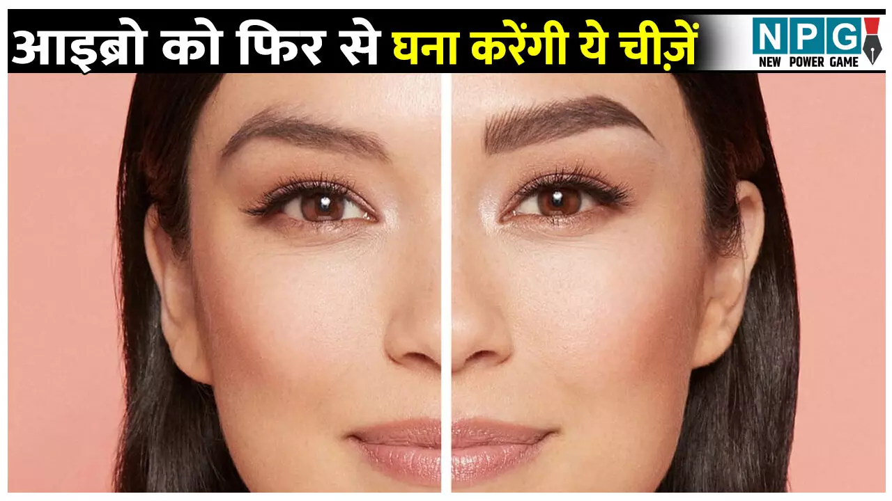 आइब्रो को फिर से घना बनाने में मदद करेंगी घर में रखी ये चीज़ें, एक सप्ताह में दिख सकता है फर्क आइब्रो को फिर से घना बनाने में मदद करेंगी घर में रखी ये चीज़ें, एक सप्ताह में दिख सकता है फर्क