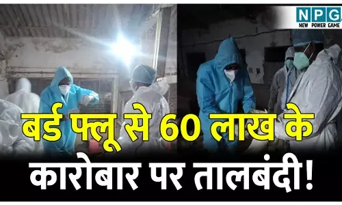 बर्ड फ्लू से 60 लाख के कारोबार पर तालबंदी! 10 किलोमीटर के दायरा कंटेनमेंट क्षेत्र घोषित, मुर्गा-मुर्गी,चिकन व अंडे की बिक्री बैन...