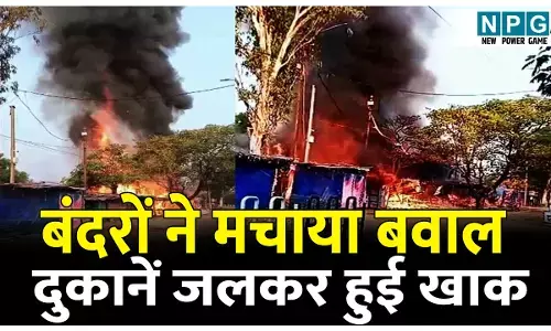 बंदरों ने मचाया बवाल और लग गई आग, दुकानें जलकर हुई खाक