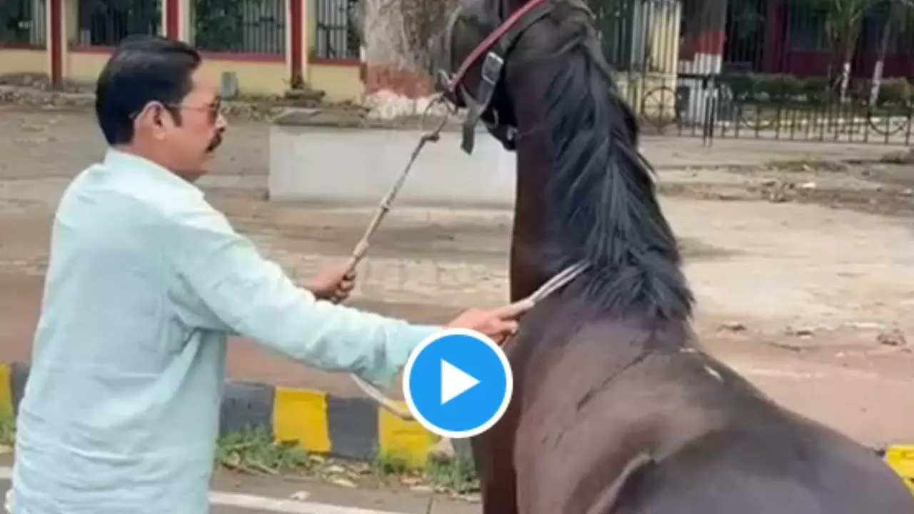 अनंत सिंह अपने घोड़े को मनाने में जुटे, वीडियो वायरल, आप भी देखें अनंत सिंह अपने घोड़े को मनाने में जुटे, वीडियो वायरल, आप भी देखें