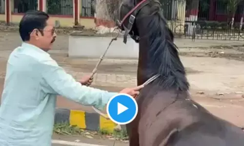 अनंत सिंह अपने घोड़े को मनाने में जुटे, वीडियो वायरल, आप भी देखें