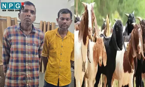 Durg News: शातिर बकरा चोर गिरफ्तार, पहले रेकी करते, फिर चोरी के बकरे को काटकर बेच देते... धारदार हथियार, नगदी और वाहन जब्त...