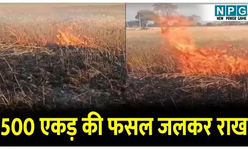 500 एकड़ गेहूं की फसल जलकर राखः खड़ी फसल में लगी आग, तेज हवाओं से अलग-बगल के खेतों में पहुंची आग की लपटें